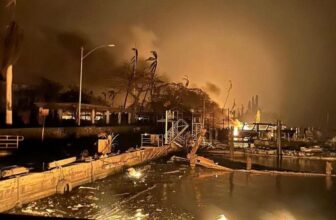 Two Years After Maui Burned, Researchers Reveal the Wildfire’s True Demise Toll