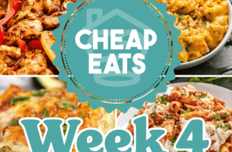 Low cost Eats Week 4 (Heat Climate)