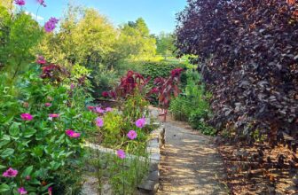 The Little Issues E-newsletter #486 – Life, laughter, and plenty of nice meals!