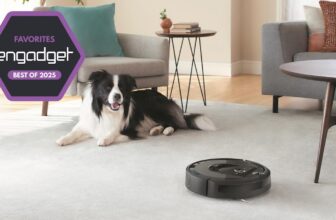 The most effective good dwelling devices for 2025