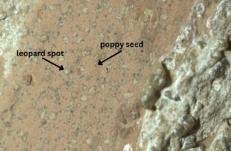 Perseverance Rover Finds Potential Signal of Historic Life in Martian Rock