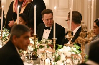 Trump Lovingly Pats Elon Musk on Abdomen Throughout Dinner at White Home