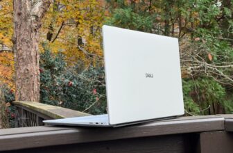 Dell 16 Premium, Nikon ZR, Ooni Volt 2 and extra