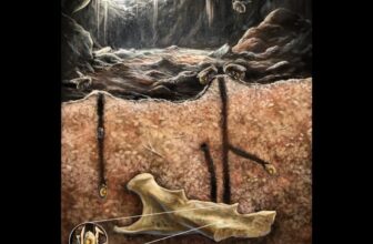 Fossilized Bee Nests Inside Skeletons Are Not like Something We have Seen Earlier than